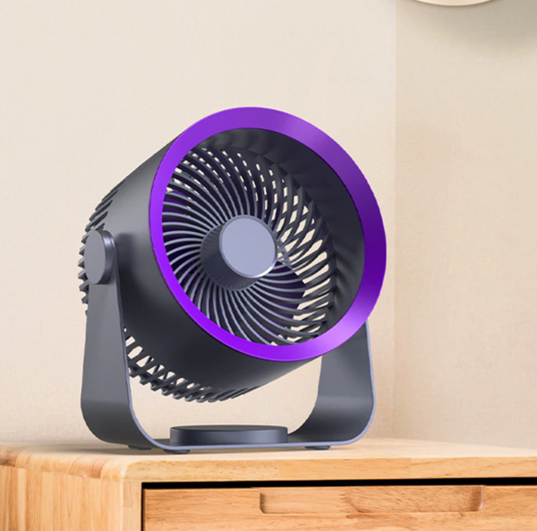 Multifunctional Electric Fan